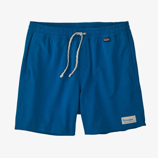 Men's rugged twill pants-Patagonia Hydropeak Volley 16 in Boardshorts-Endless Blue