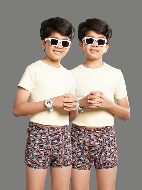 men's premium trunks pack-HINT BOY STAR MINI TRUNK #PRINT (PACK OF 2)