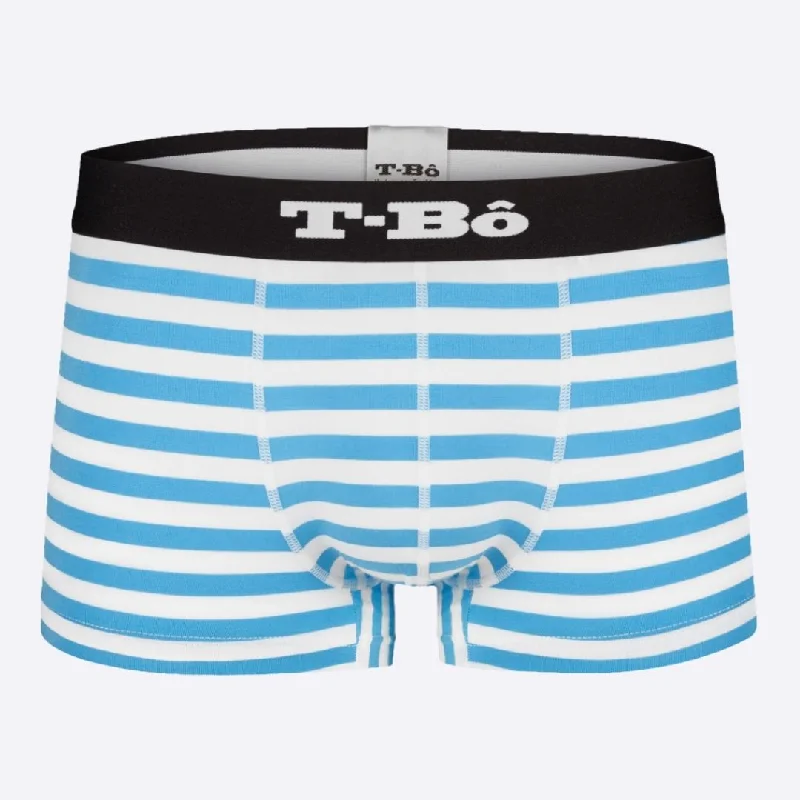 men's durable underwear-The Ballsy Norse Blue Stripes Trunk