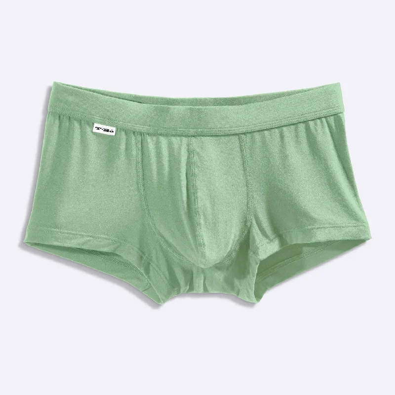 men's organic briefs-The Mint Green Trunk